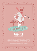 Poodle