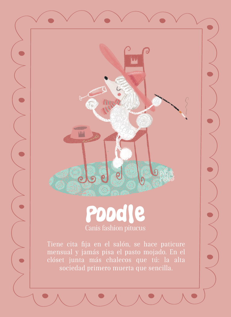 Poodle
