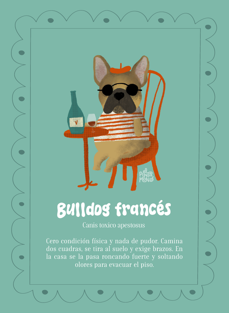 Bulldog Francés