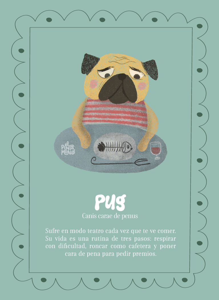 Pug