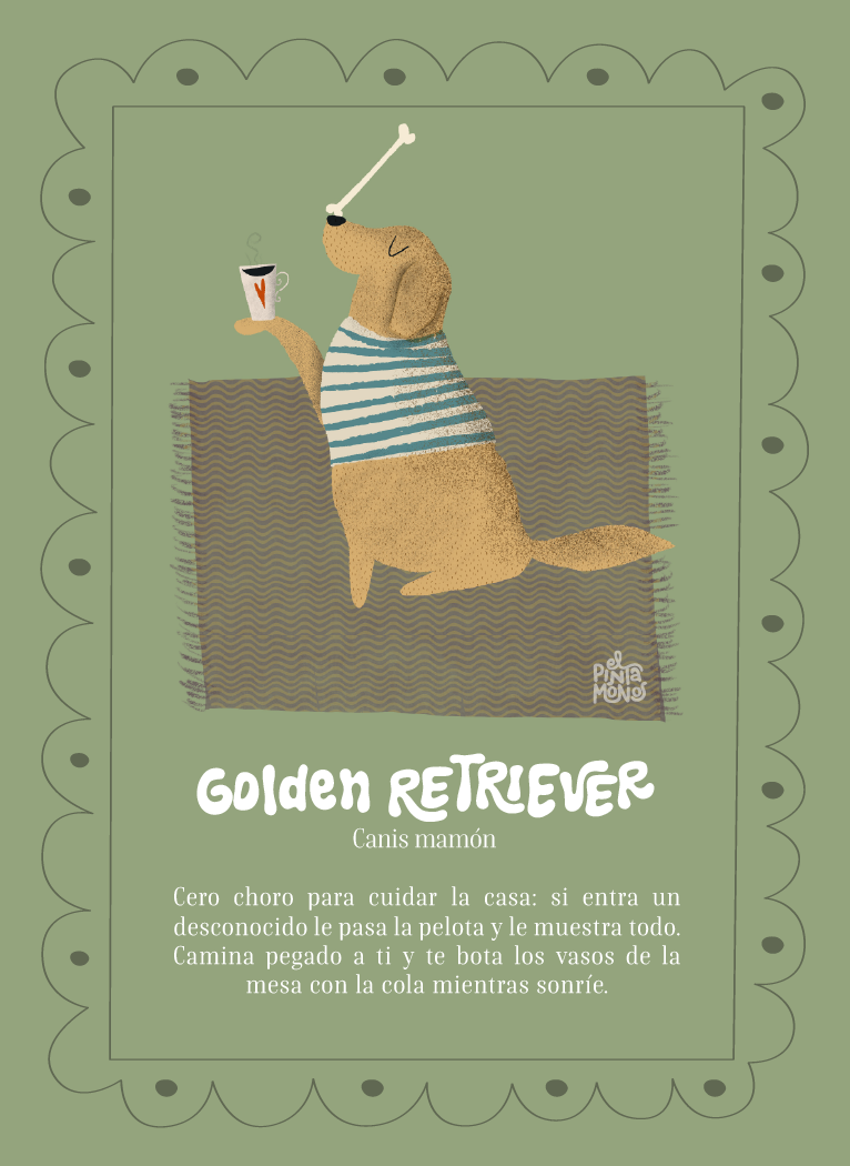 Golden Retriever