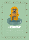 Schnauzer